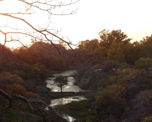 Photo Walk around Mt Abu