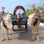 Phaltan: A juxtaposition of two worlds