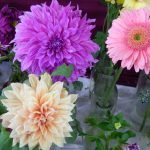 7 Reasons why Flowers make for the perfect gift for every occasion