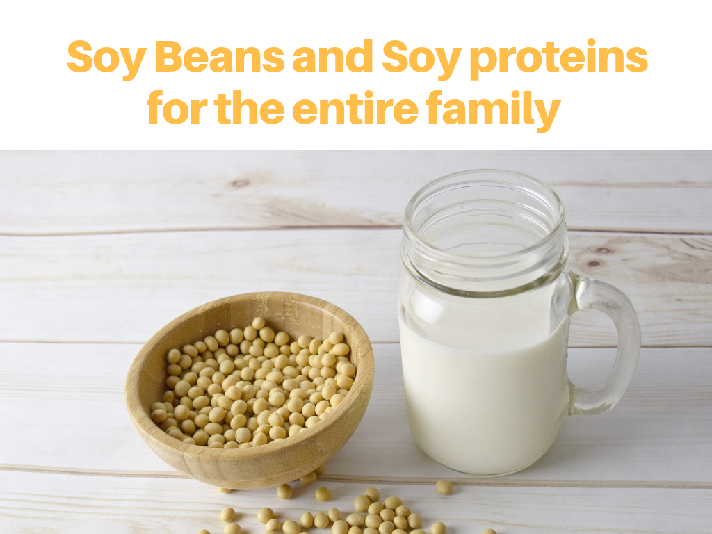 Soybeans and soy proteins